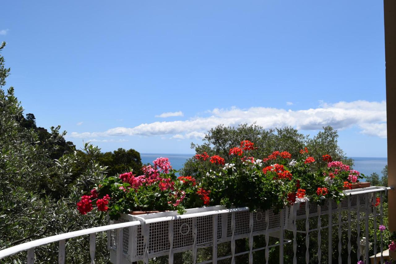 Villa Il Respiro Zoagli Exteriér fotografie
