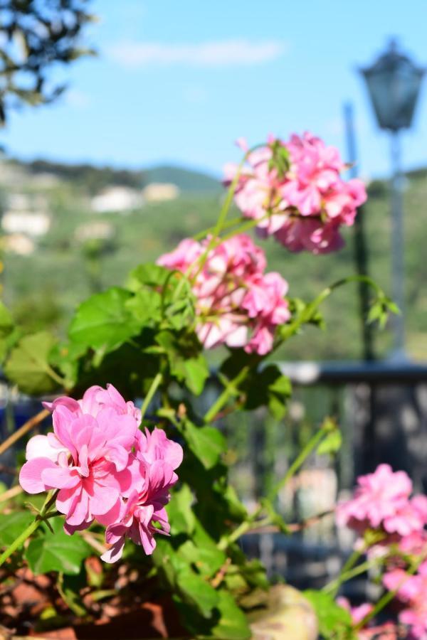 Villa Il Respiro Zoagli Exteriér fotografie